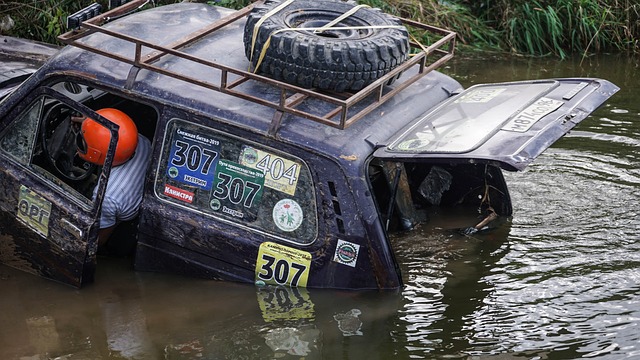 其他杰出球 其他杰出球