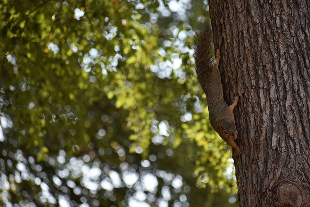 场英超比赛 场英超比赛