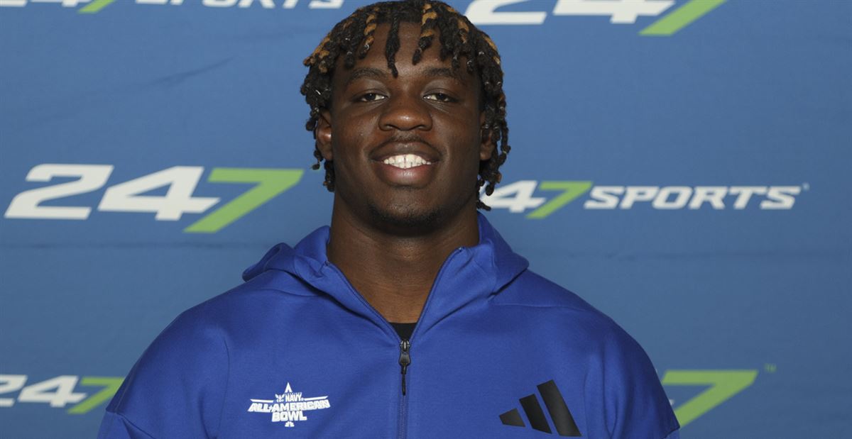 的高开奠定 的高开奠定