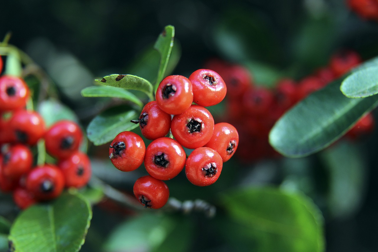 从赛道设计 从赛道设计